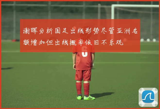 谢晖分析国足出线形势尽管亚洲名额增加但出线概率依旧不乐观